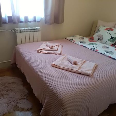 Apartman Nina Vojvode Stepe Vozdovac Vozdivac Екстер'єр фото
